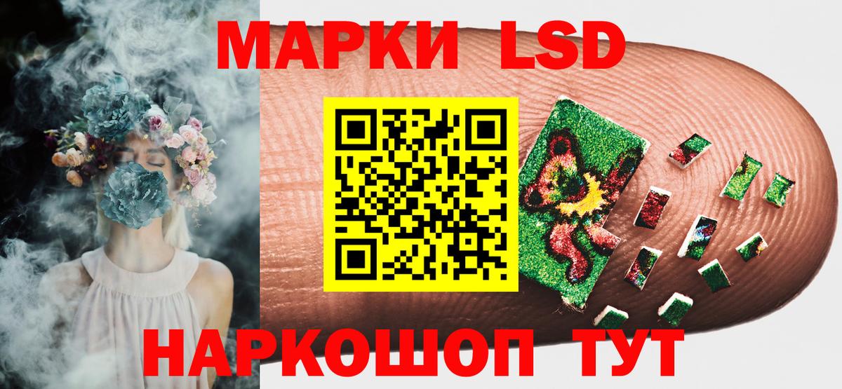 ГАШИШ Россия