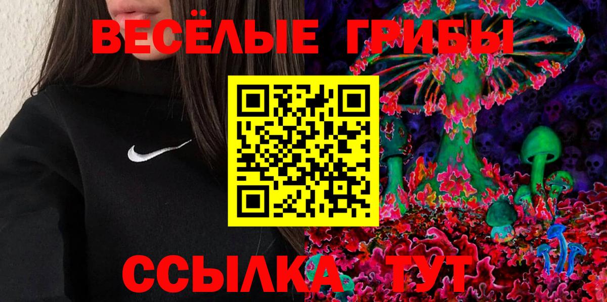 Псилоцибиновые грибы Psilocybe  Вход с VPN  Россия 